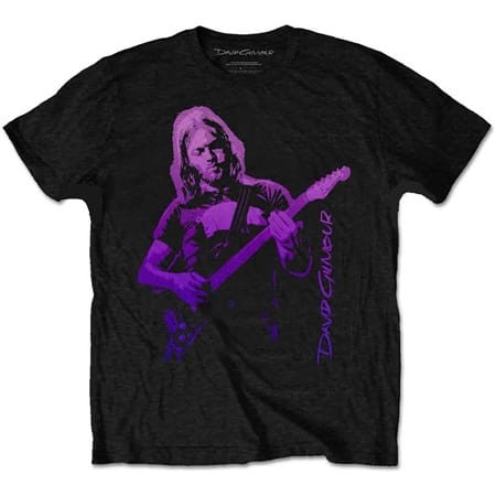 koszulka DAVID GILMOUR Pig Gradient.jpg