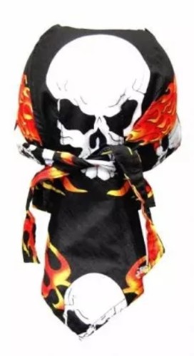 flydana skull and flames t.jpg