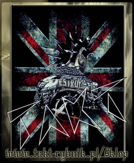 punk destroy