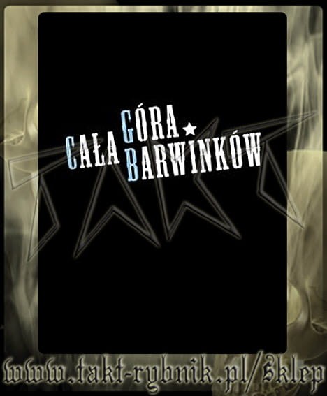 koszulka-cala gora barwinkow beat 2 meet u-2-010714.jpg